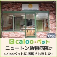 caloopetペット　ニュートン動物病院がcaloopetペットに掲載されました！