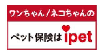 ipet(アイペット損保)